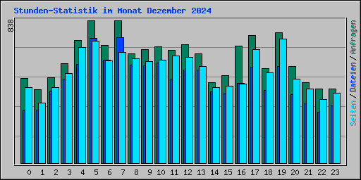 Stunden-Statistik im Monat Dezember 2024