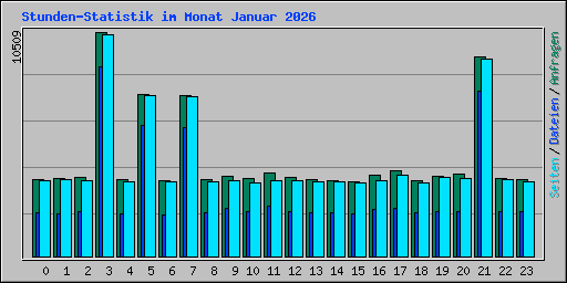 Stunden-Statistik im Monat Januar 2026