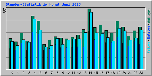 Stunden-Statistik im Monat Juni 2025